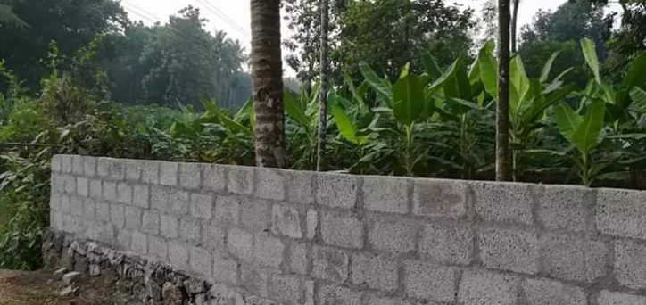 WhatsApp Image 2020-07-29 at 1.32.59 PM (1)